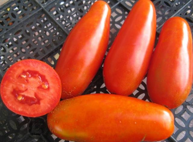 Tomato varieties for open ground