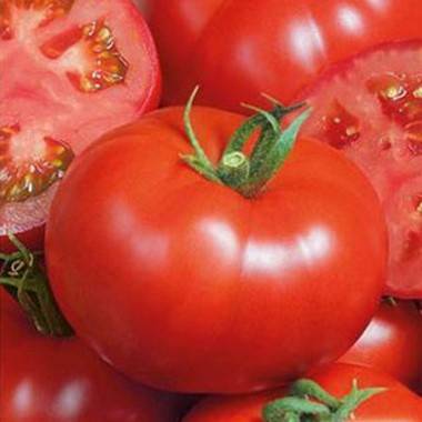 Tomato varieties for open ground