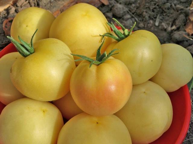 Tomato varieties Peach: reviews, photos