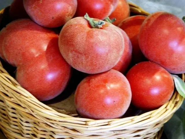 Tomato varieties Peach: reviews, photos