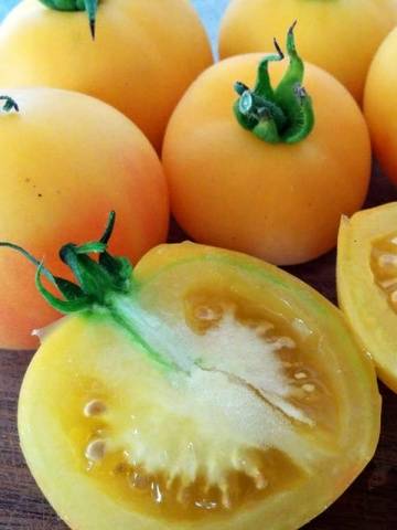 Tomato varieties Peach: reviews, photos