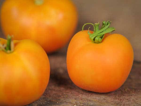 Tomato varieties Peach: reviews, photos