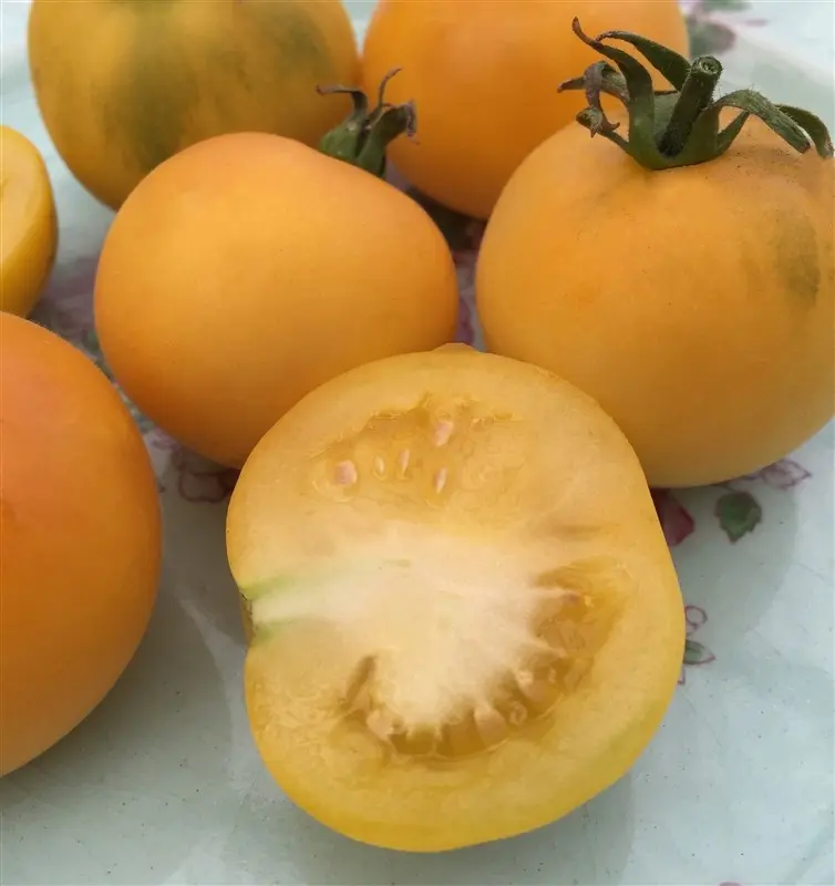 Tomato varieties Peach: reviews, photos