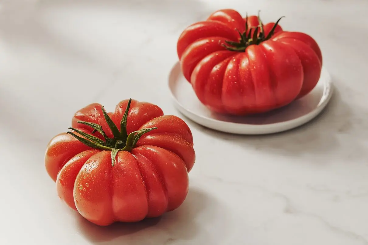 Tomato varieties Treasure of the Incas