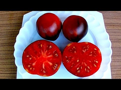 Tomato variety Blue pear: reviews, description, planting and care