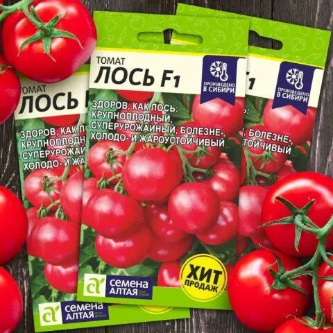 Tomato variety Elk F1: description and reviews