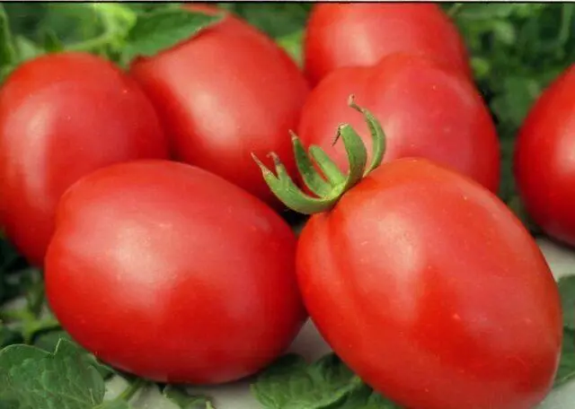 Tomato variety Slivka Bendrik: yellow, red, photos, reviews, who planted