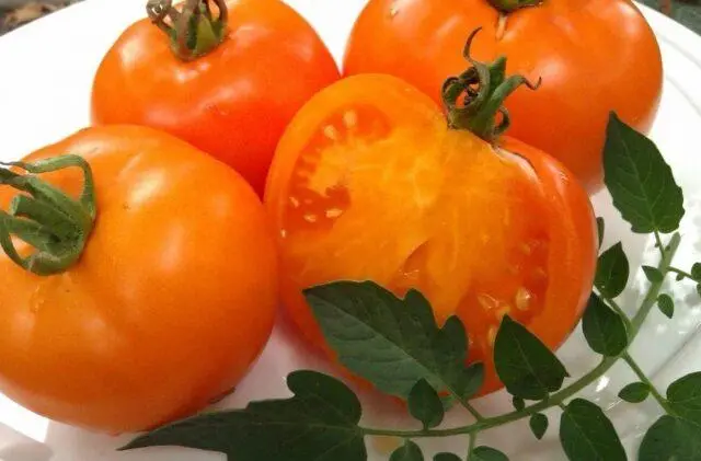 Tomato variety Tsarskaya Vetka: description, photo, reviews