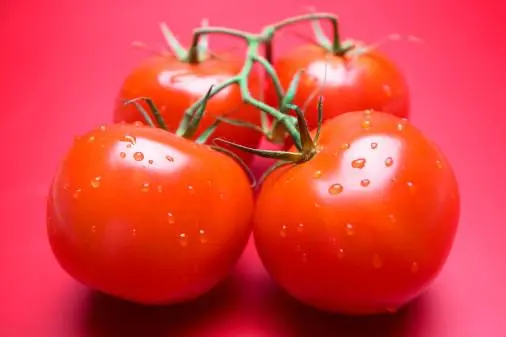 Tomato Verlioka: reviews, photos, yield