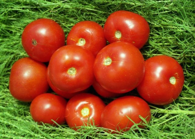 Tomato Volgogradsky Early Ripening 323: reviews, photos, yield