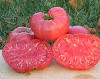 Tomato Watermelon: photo reviews