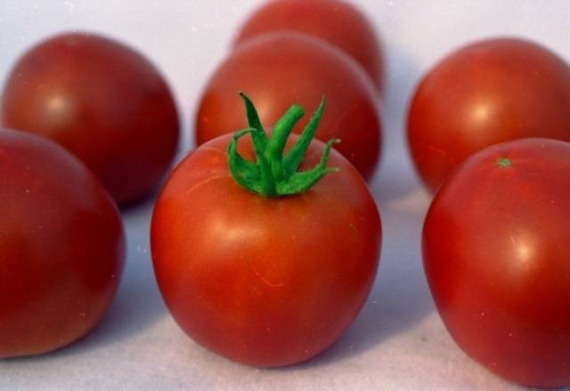 Tomato White filling: description, photo, reviews