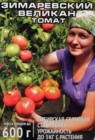 Tomato Zimarevsky giant: reviews, photos, yield