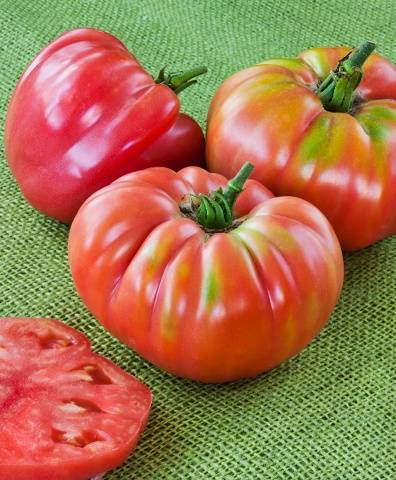 Tomato Zimarevsky giant: reviews, photos, yield