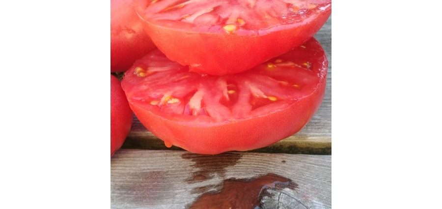 Tomato Zimarevsky giant: reviews, photos, yield