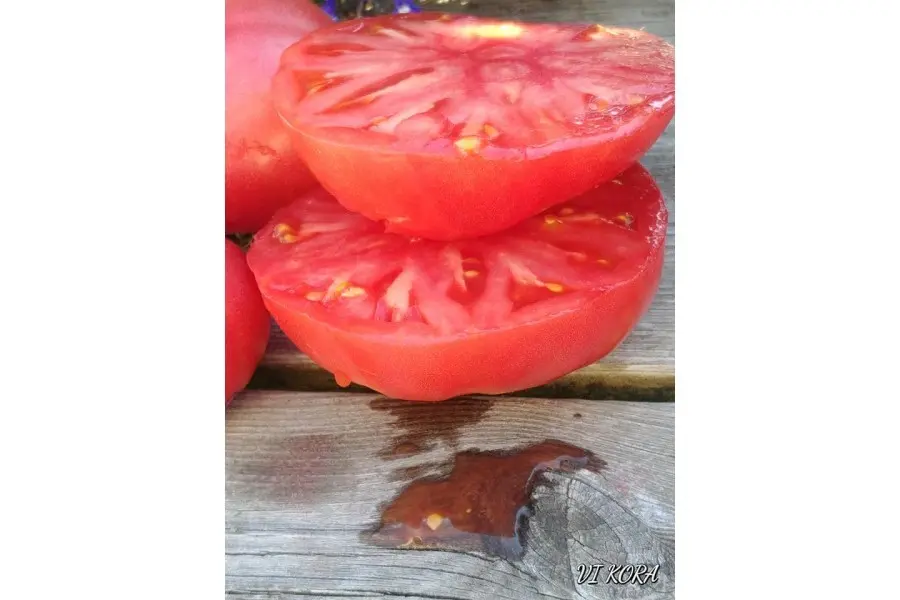 Tomato Zimarevsky giant: reviews, photos, yield