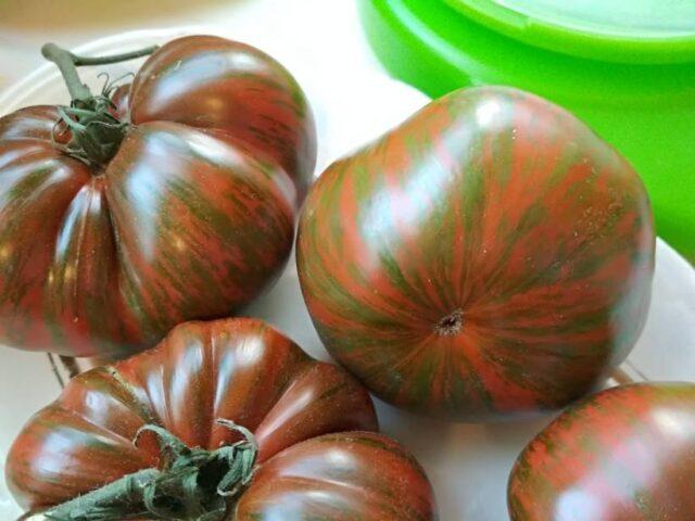 Tomatoes Amur tiger: variety description, photos, reviews