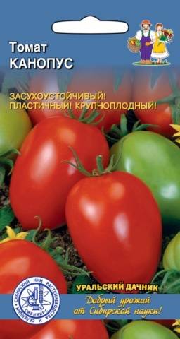 Tomatoes Canopus: description, photo, reviews