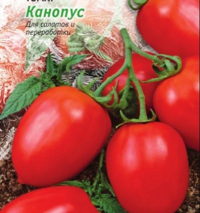 Tomatoes Canopus: description, photo, reviews