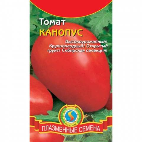 Tomatoes Canopus: description, photo, reviews