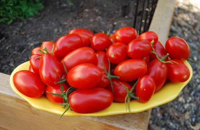 Tomatoes Cascade: reviews, photos, characteristics, planting and care