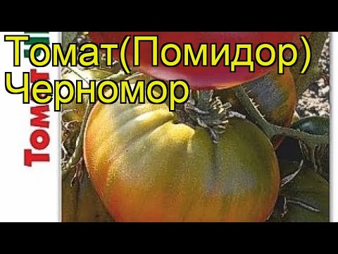 Tomatoes Chernomor: variety description, photos, reviews