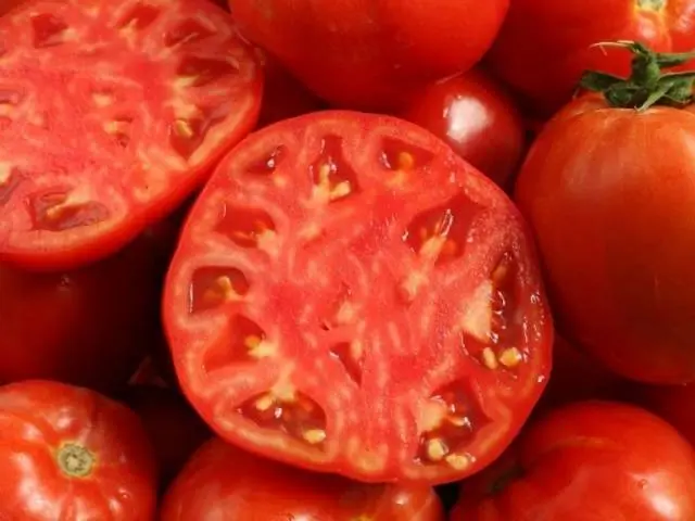 Tomatoes Dubrava: description, reviews