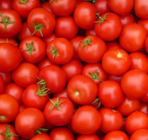 Tomatoes Em Champion: variety description, photos, reviews