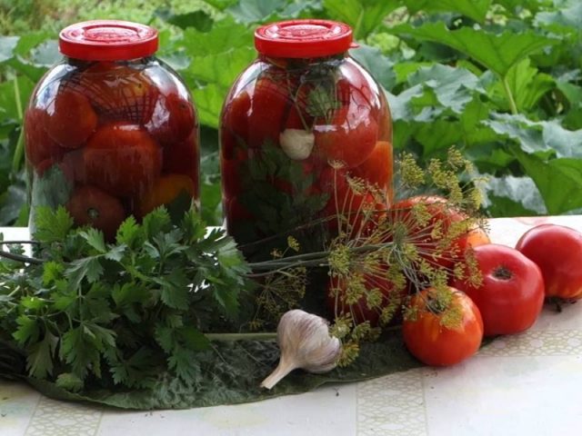 Tomatoes in a cold way under a nylon cover