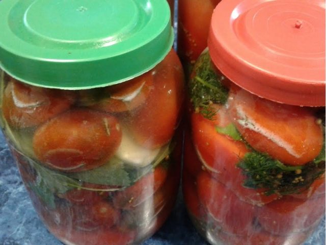 Tomatoes in a cold way under a nylon cover