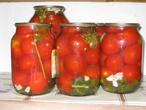 Tomatoes in a cold way under a nylon cover