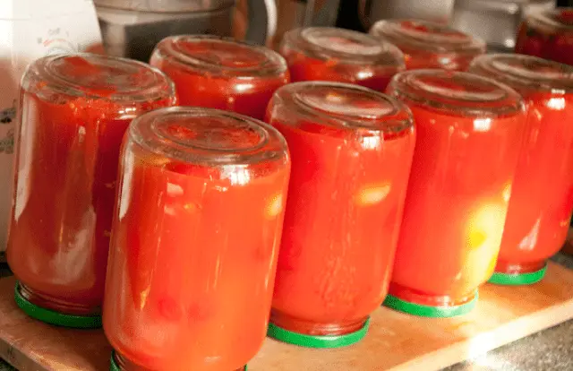 Tomatoes in tomato juice: 7 recipes for the winter