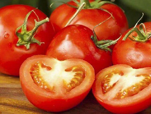 Tomatoes Lezhebok: variety description, photos, reviews