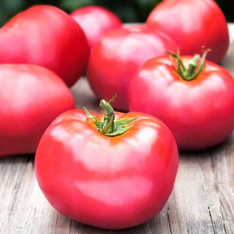 Tomatoes Nepas: varieties, descriptions, photos, reviews of gardeners