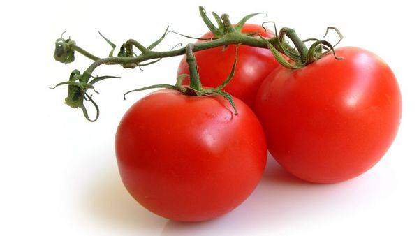 Tomatoes of Siberian selection for greenhouses