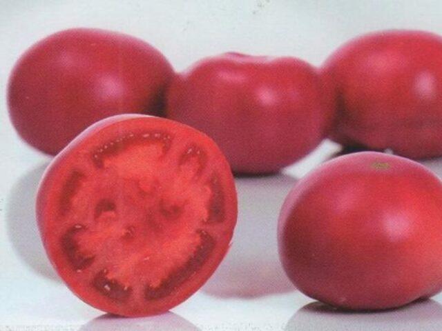 Tomatoes Pink Garant F1: variety description, photos, reviews