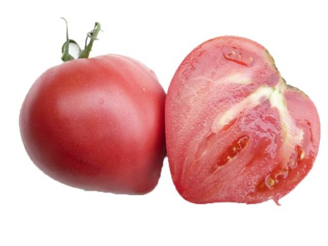 Tomatoes Pink spam: reviews with photos