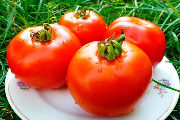 Tomatoes Red Guard: photo and description