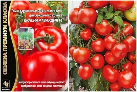 Tomatoes Red Guard: photo and description