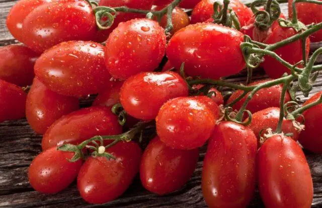 Tomatoes San Marzano (San Marzano): variety description, photo, reviews