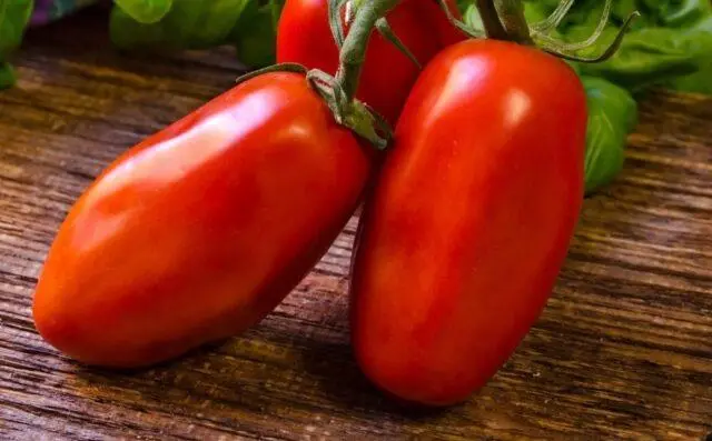 Tomatoes San Marzano (San Marzano): variety description, photo, reviews