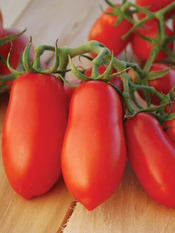 Tomatoes Siberian Grozdevoy: variety description, photos, reviews