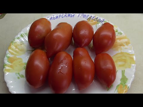 Tomatoes Siberian Grozdevoy: variety description, photos, reviews