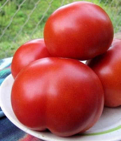 Tomatoes Tolstushka: description, photo