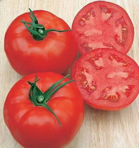 Tomatoes: undersized early varieties for open ground