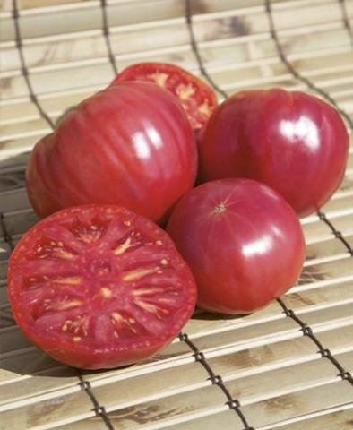 Tomatoes: undersized early varieties for open ground