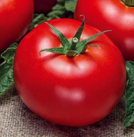 Tomatoes Volgogradets: variety description, photos, reviews