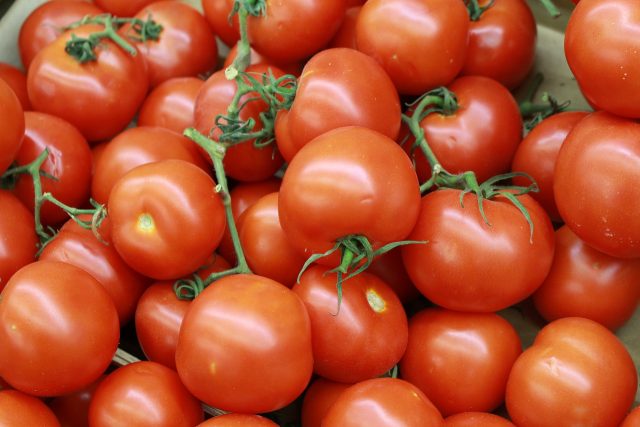 Tomatoes Volgogradets: variety description, photos, reviews