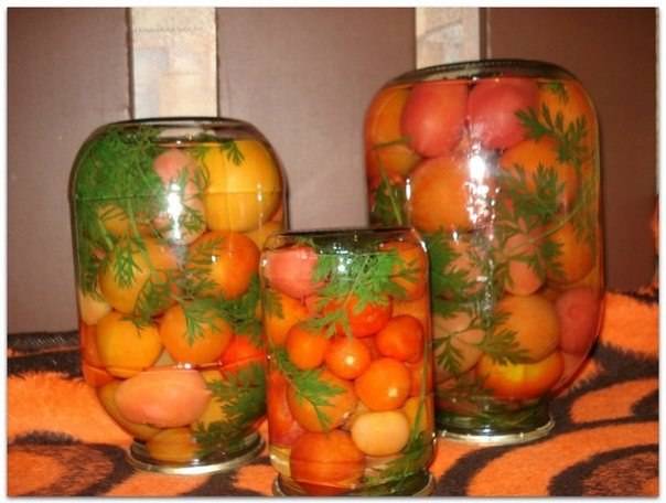 Tomatoes with carrot tops