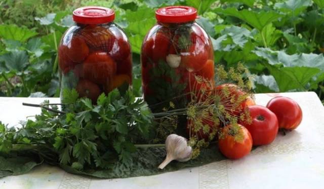 Tomatoes with carrot tops